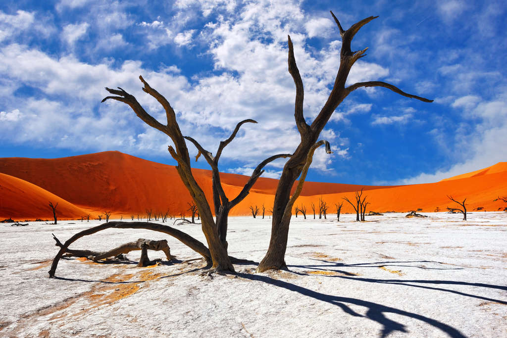 Namib Red Desert